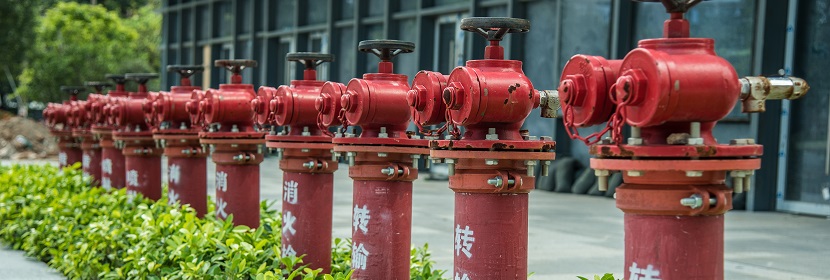 于化妝品功效評價的皮膚細胞類型介紹?《化妝品功效宣稱評價指導原則》起草說明