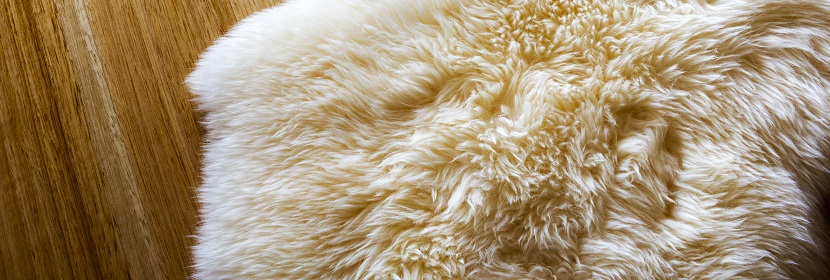 入河排污口論證報(bào)告編制大綱