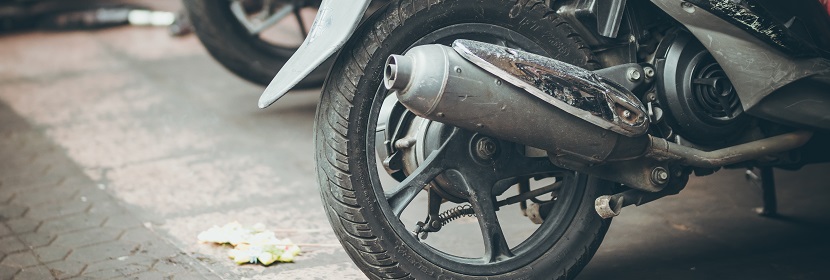 類風濕關節(jié)炎大鼠模型