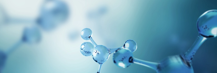 枯草芽孢桿菌檢測(cè)