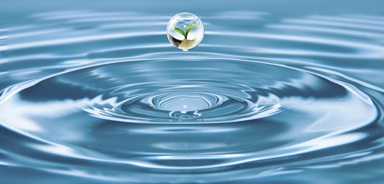 羥甲基糠醛檢測