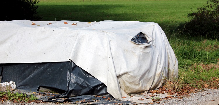 五氯苯硫酚鋅鹽檢測