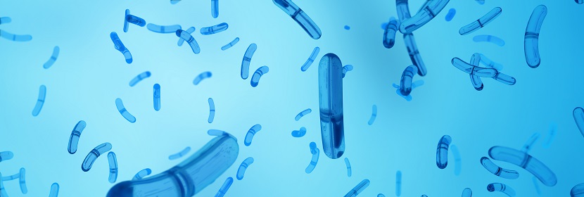 遺傳學毒理試驗