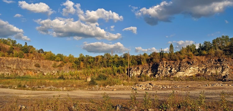 單相同步電機試驗