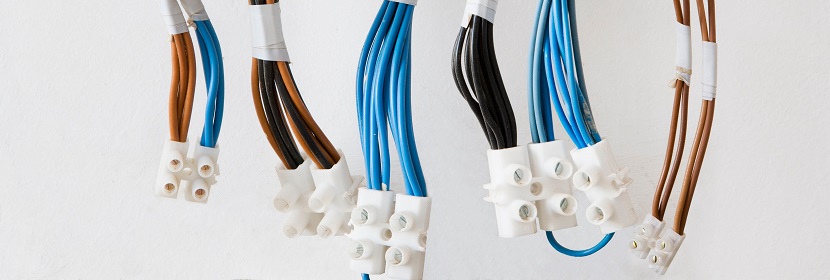 平轉(zhuǎn)浸出器檢測(cè)