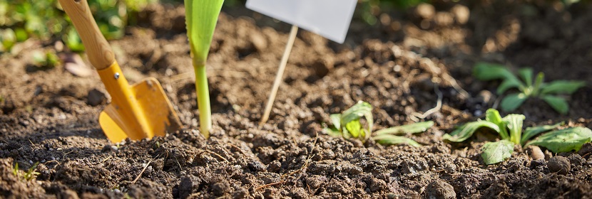 無(wú)機(jī)鹽檢測(cè)