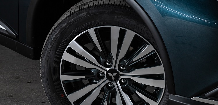 酵母菌檢測(cè)