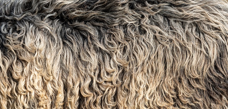 接觸溫度檢測(cè)