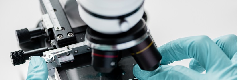 抗風揭能力試驗