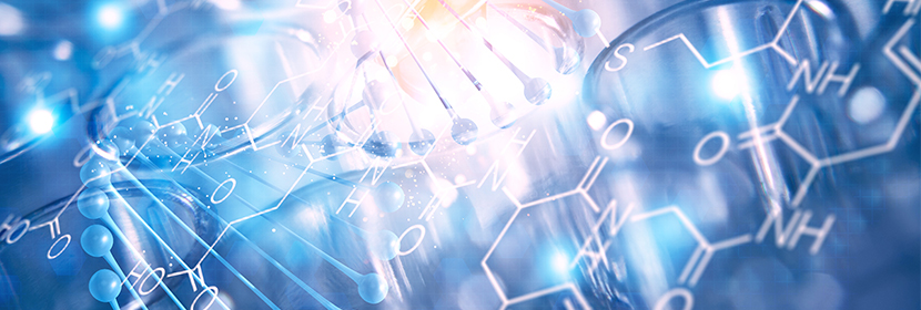 感應(yīng)電動機試驗