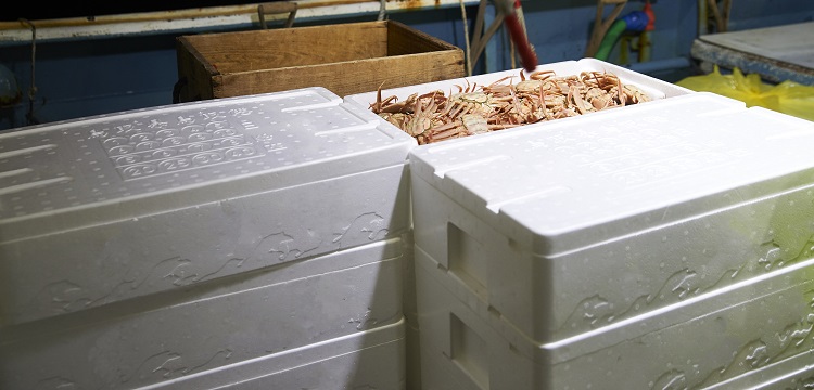 浸膠紗拉伸性能測(cè)定