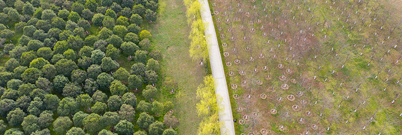 水土保持服務編制