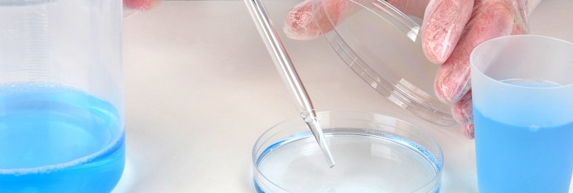 三水合乙酸鈉(乙酸鈉)檢測(cè)