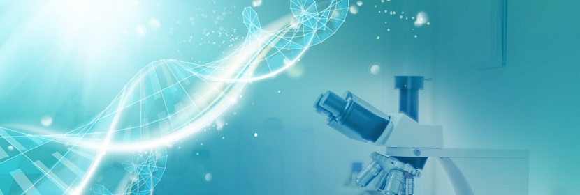 可曲撓橡膠接頭環(huán)保產(chǎn)品檢測