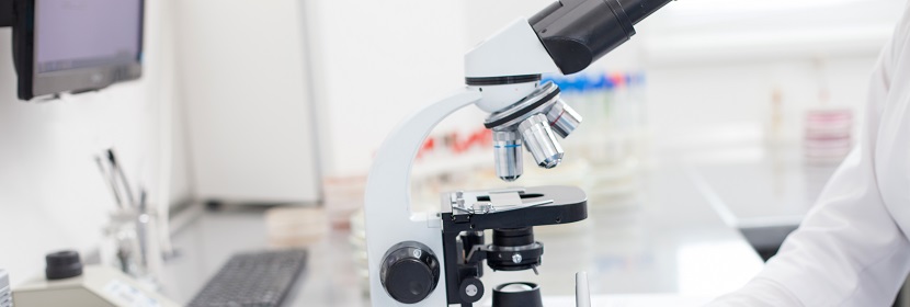 聚丙烯(PP)擠出片材檢測