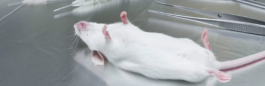 毒理學(xué)評價