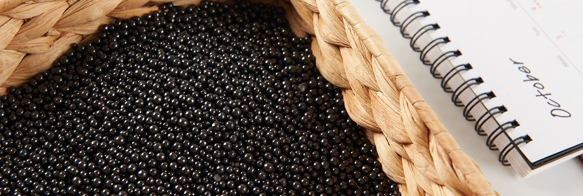 化學(xué)試劑 活性炭檢測(cè)