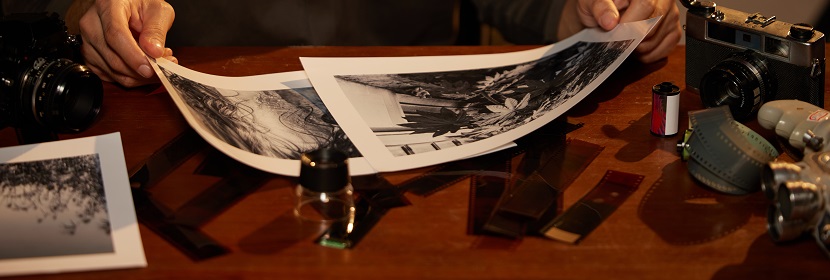 攝影 加工用化學品 對苯二酚檢測